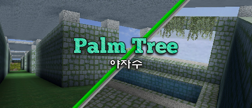 야자수(Palm Tree)